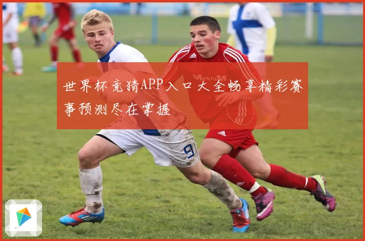 世界杯竞猜APP入口大全畅享精彩赛事预测尽在掌握