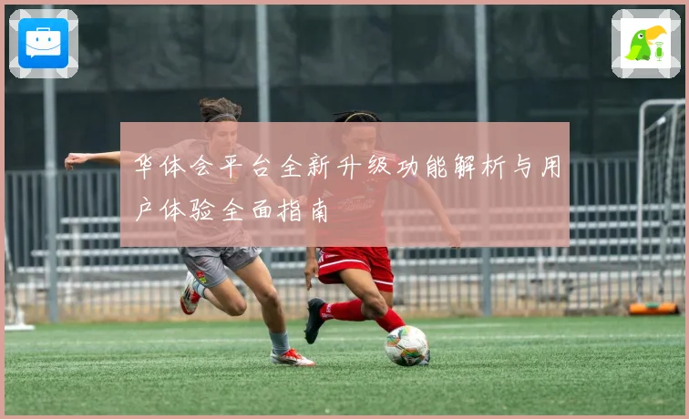 华体会平台全新升级功能解析与用户体验全面指南