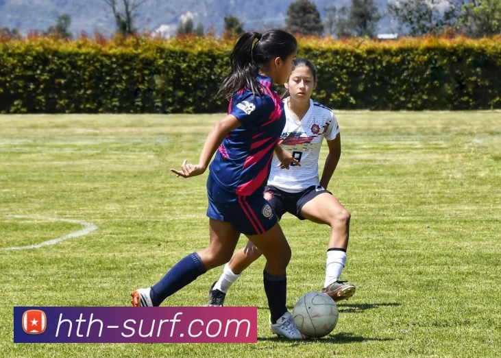 华体会平台展示图